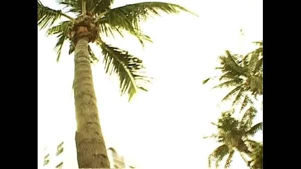 Ashlynn Brooke Ends Up Cum Covered And Smiling